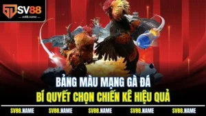 Bảng Màu Mạng Gà Đá - Bí Quyết Chọn Chiến Kê Hiệu Quả