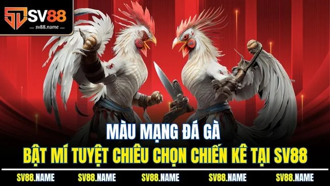 Màu Mạng Đá Gà - Bật Mí Tuyệt Chiêu Chọn Chiến Kê Tại SV88